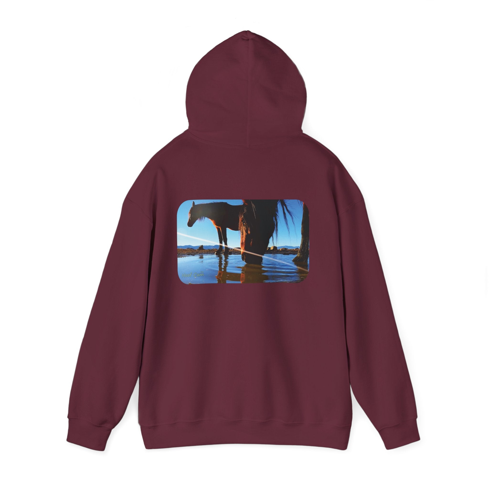 Hoof Cam Hoodie