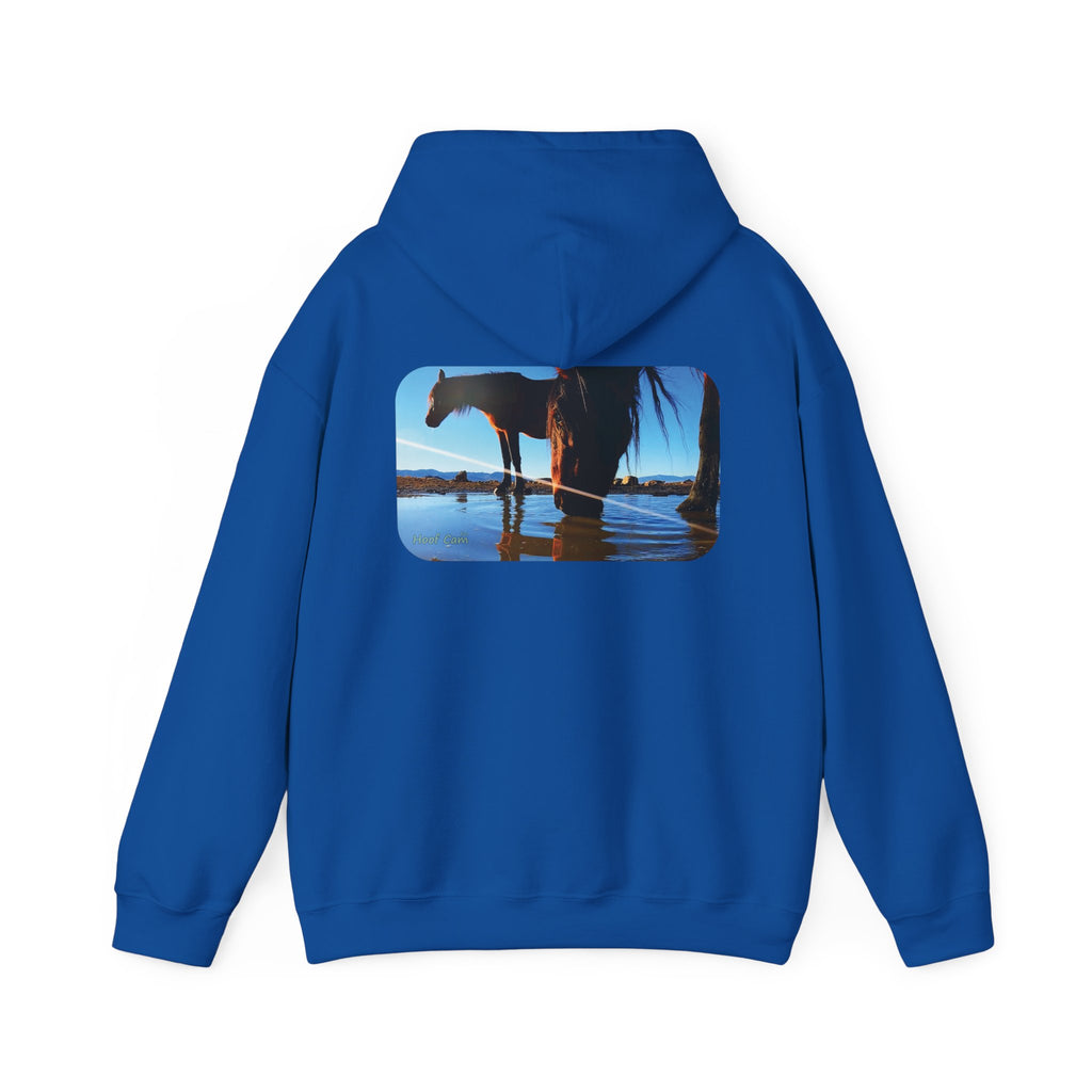 Hoof Cam Hoodie