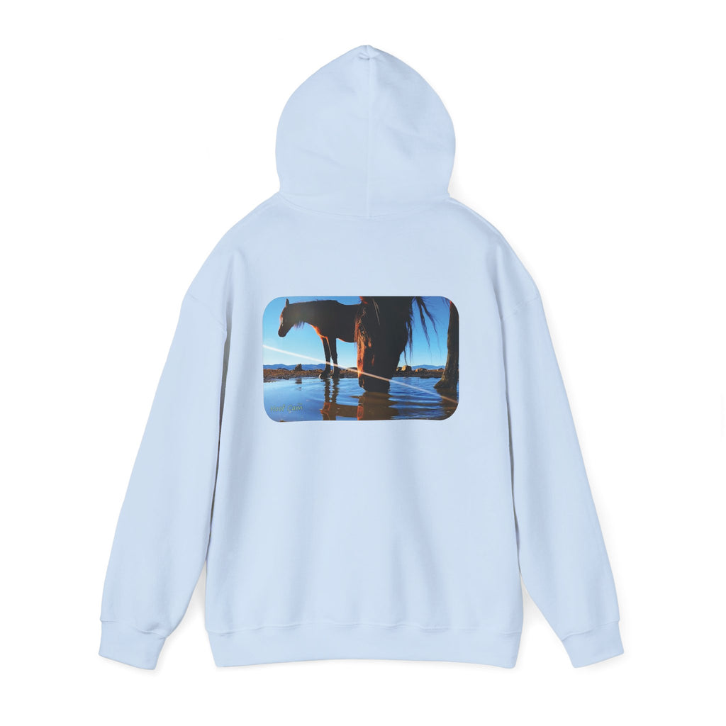 Hoof Cam Hoodie