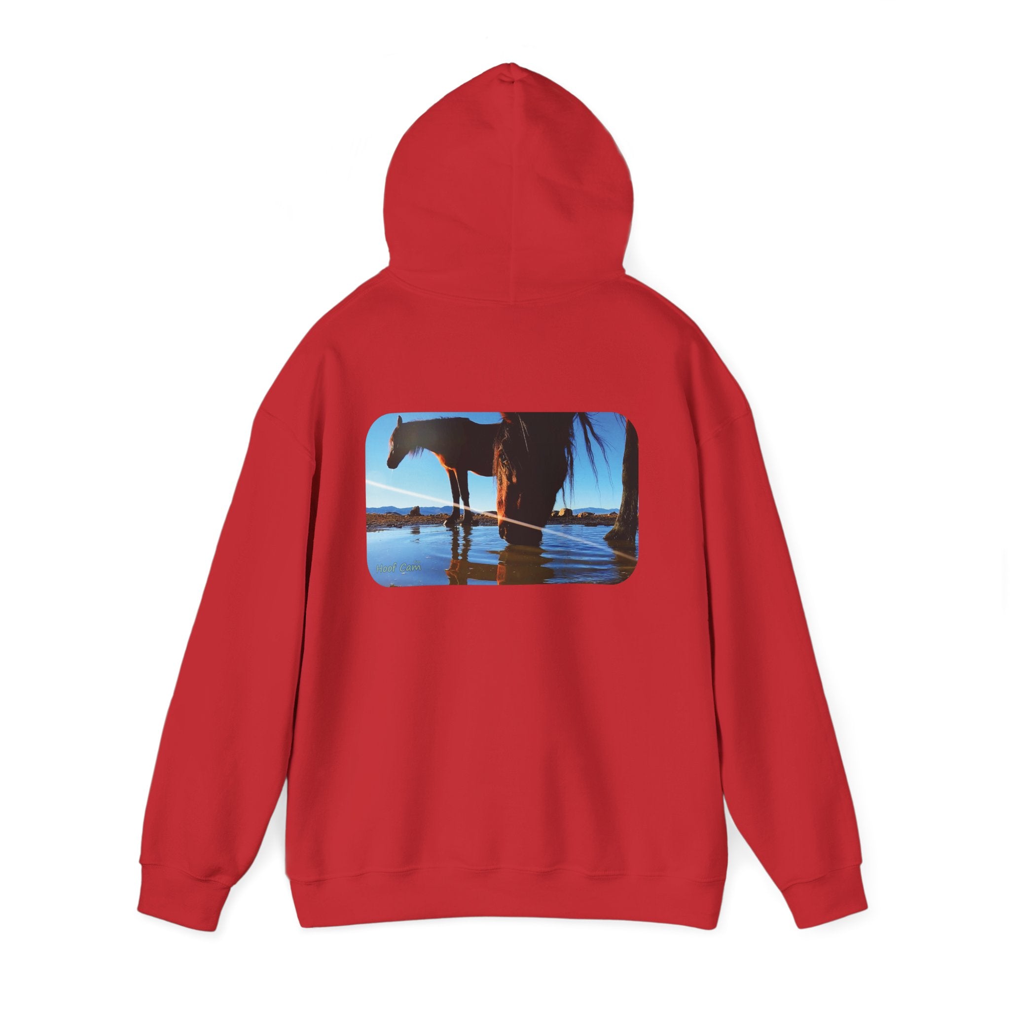 Hoof Cam Hoodie