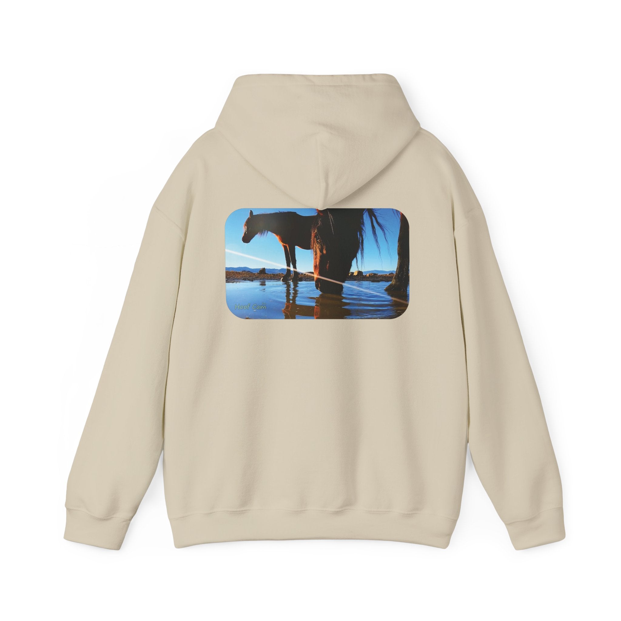 Hoof Cam Hoodie