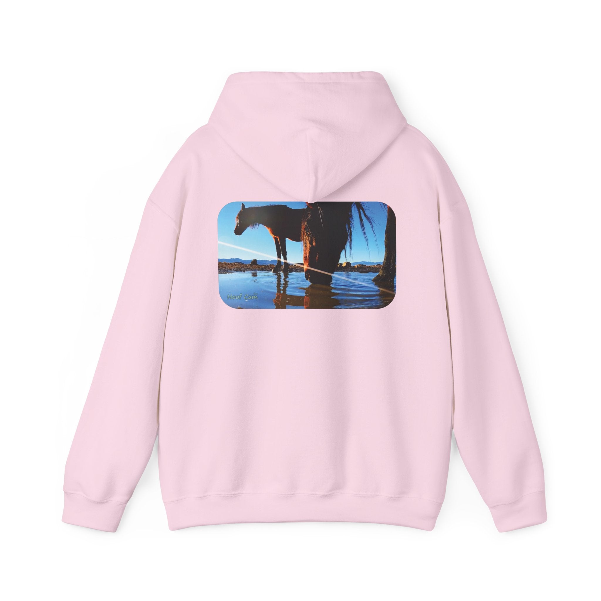 Hoof Cam Hoodie