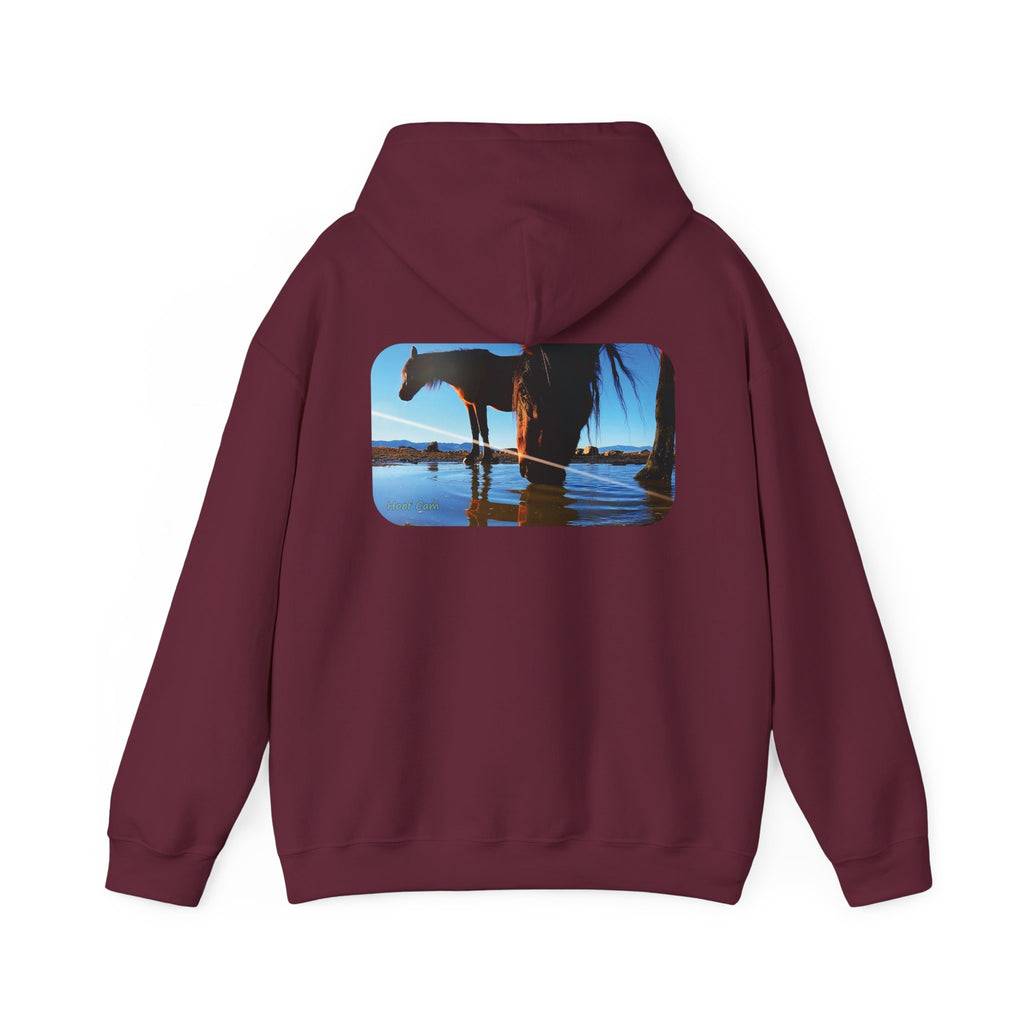 Hoof Cam Hoodie