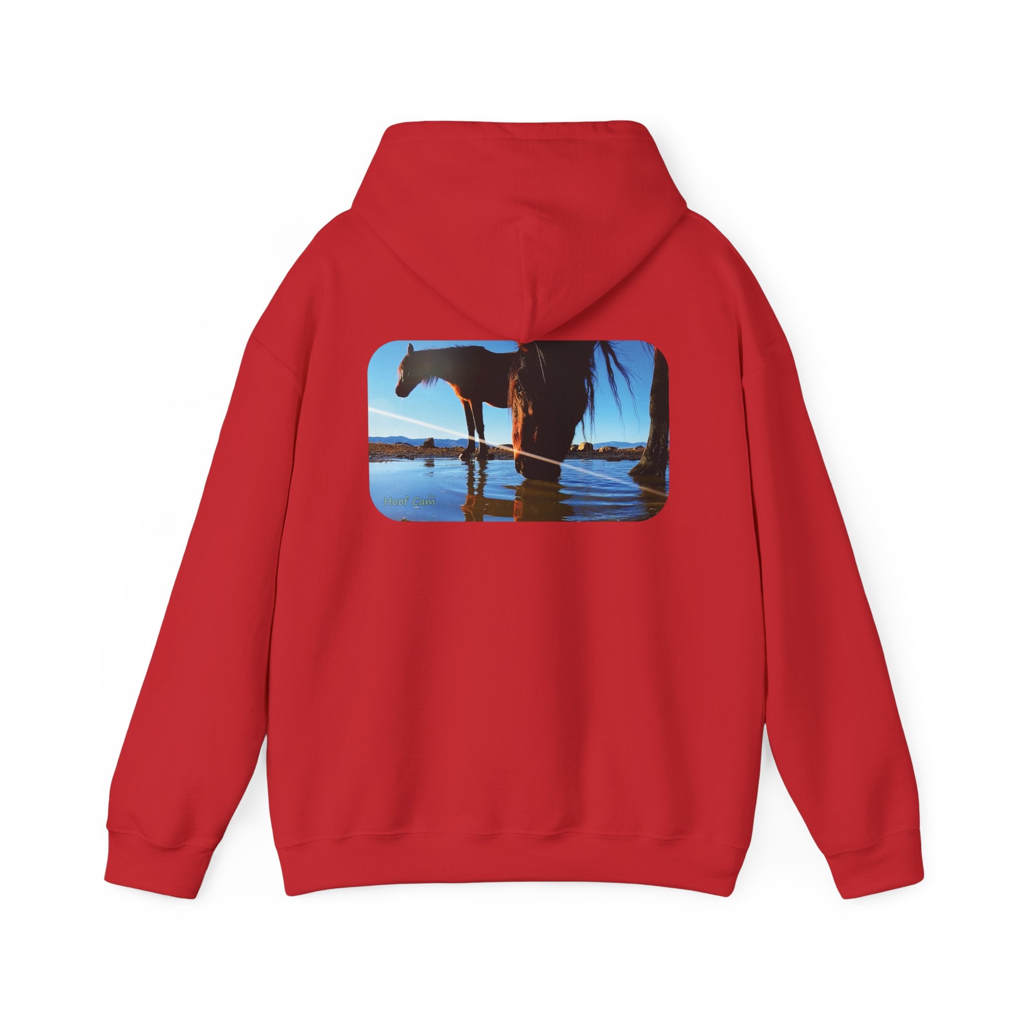 Hoof Cam Hoodie